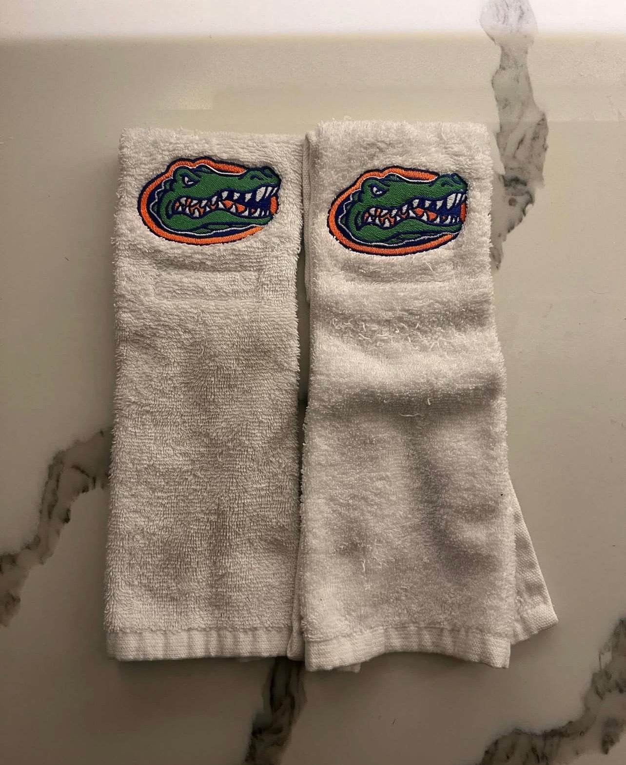 Florida gators towel