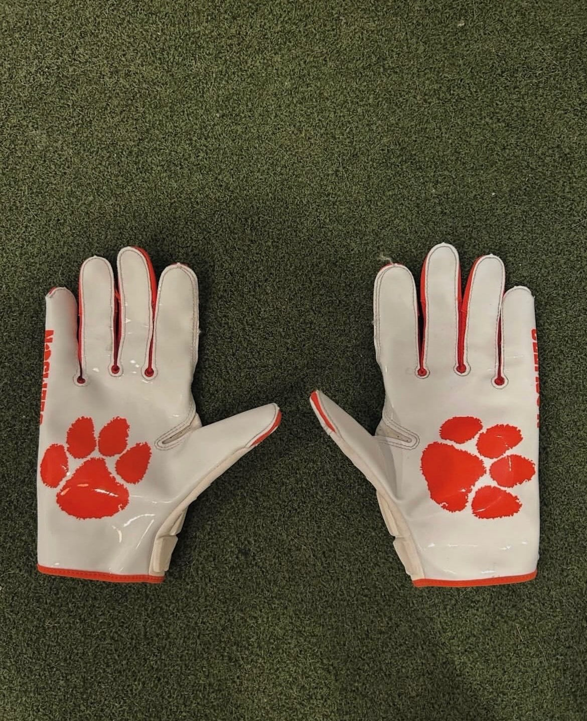 Clemson Gloves